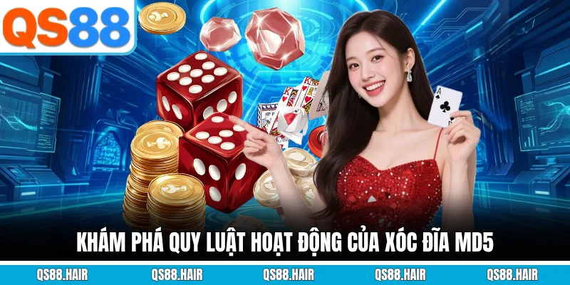 Khám phá quy luật hoạt động của Xóc Đĩa MD5