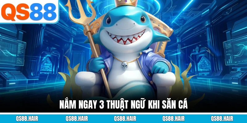 Nắm ngay 3 thuật ngữ khi săn cá
