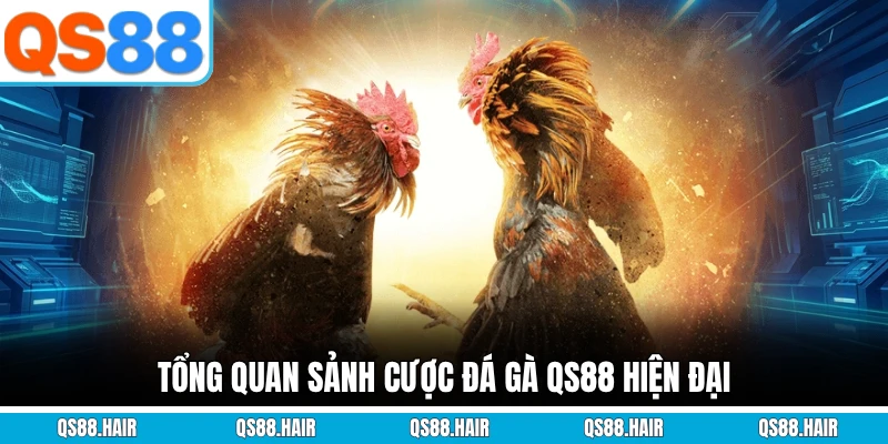 Tổng quan sảnh cược đá gà QS88 hiện đại